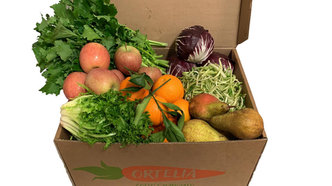 Box della Settimana 20/26 Gennaio 2020