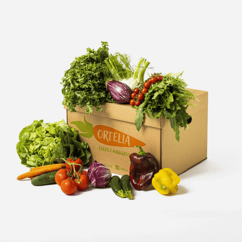Box Verdura