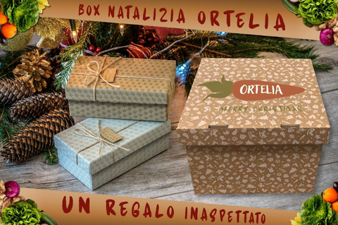 Box di Natale