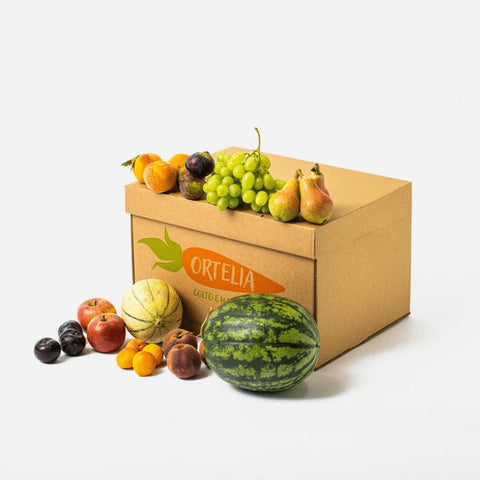 Box Sola Frutta