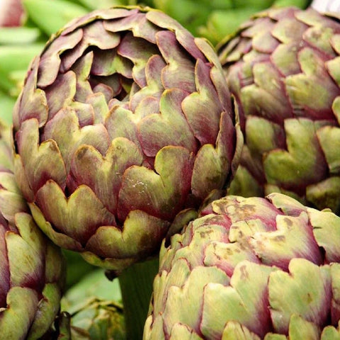 Carciofi Romaneschi